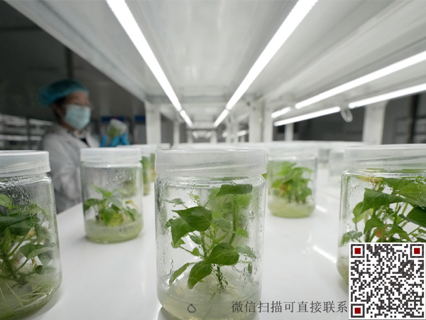 微信二維碼 拷貝副本.jpg
