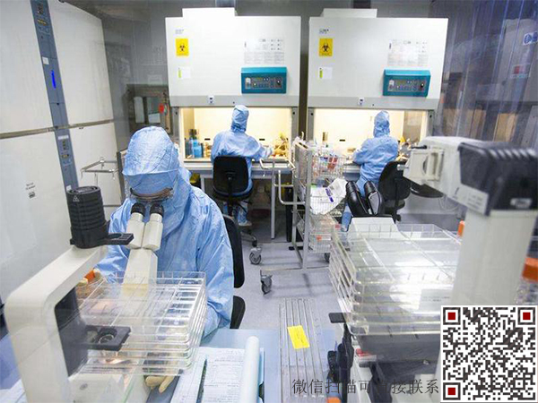微信二維碼 拷貝副本.jpg